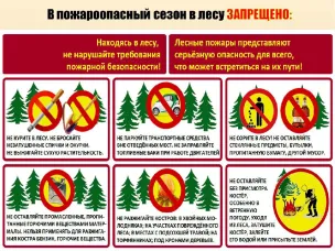 В пожароопасный период в лесу ЗАПРЕЩЕНО!