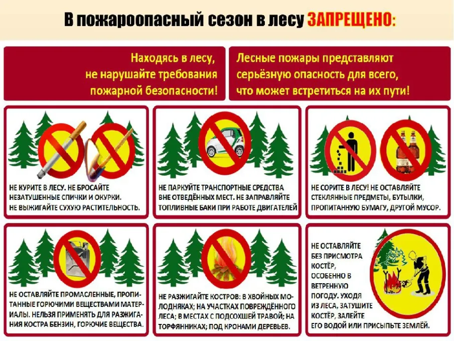 В пожароопасный период в лесу ЗАПРЕЩЕНО!