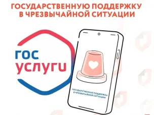 МЧС России совместно с Минцифры России разработали на портале Госуслуг посадочную страницу «Государственная поддержка в чрезвычайной ситуации», где пострадавшие в результате чрезвычайных ситуаций природного и техногенного характера могут подать заявление о получения финансовой помощи.  Страница предназначена для людей, пострадавших при чрезвычайных ситуациях, таких как:  - утрата имущества первой необходимости;  - нарушение условий жизнедеятельности;  - причинен вред здоровью;  - гибель кого-то из членов семьи.  Обратиться за помощью можно через портал Госуслуг самостоятельно или в секторе пользовательского сопровождения в ближайшем отделении МФЦ, а также в уполномоченный орган или местную администрацию.  Заявление могут подать только граждане, пострадавшие в чрезвычайных ситуациях межмуниципального, регионального, межрегионального или федерального характера.  Страница доступна по адресу: https://www.gosuslugi.ru/mchs