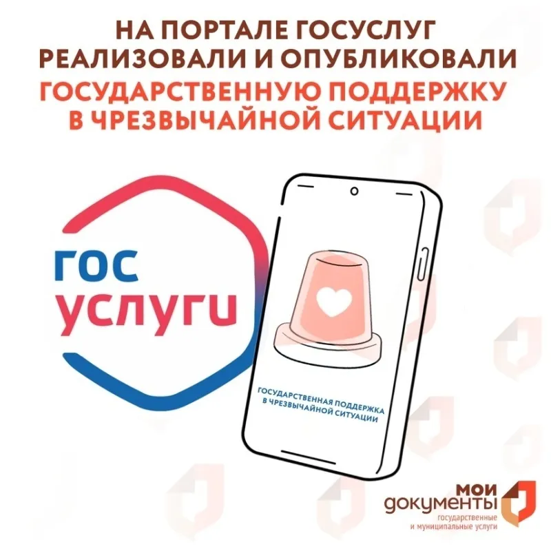 МЧС России совместно с Минцифры России разработали на портале Госуслуг посадочную страницу «Государственная поддержка в чрезвычайной ситуации», где пострадавшие в результате чрезвычайных ситуаций природного и техногенного характера могут подать заявление о получения финансовой помощи.  Страница предназначена для людей, пострадавших при чрезвычайных ситуациях, таких как:  - утрата имущества первой необходимости;  - нарушение условий жизнедеятельности;  - причинен вред здоровью;  - гибель кого-то из членов семьи.  Обратиться за помощью можно через портал Госуслуг самостоятельно или в секторе пользовательского сопровождения в ближайшем отделении МФЦ, а также в уполномоченный орган или местную администрацию.  Заявление могут подать только граждане, пострадавшие в чрезвычайных ситуациях межмуниципального, регионального, межрегионального или федерального характера.  Страница доступна по адресу: https://www.gosuslugi.ru/mchs