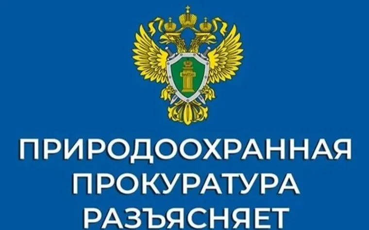 Нижегородская межрайонная природоохранная прокуратура разъясняет