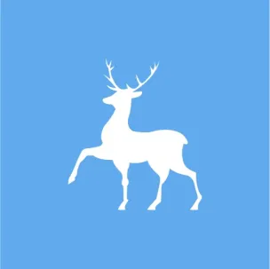 Муниципальное бюджетное общеобразовательное учреждение Кисловская  средняя  школа