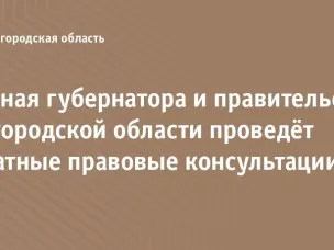 Правовые консультации
