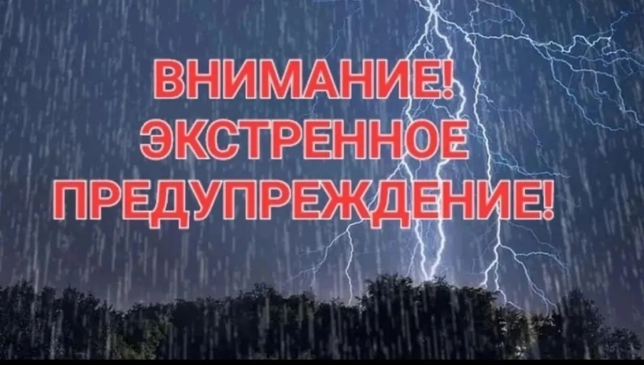 ЭКСТРЕННОЕ ПРЕДУПРЕЖДЕНИЕ