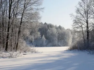 ЭКСТРЕННОЕ ПРЕДУПРЕЖДЕНИЕ