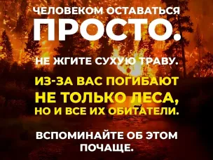 СОБЛЮДАЙ ПРАВИЛА ПОЖАРНОЙ БЕЗОПАСНОСТИ 