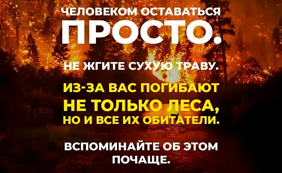 СОБЛЮДАЙ ПРАВИЛА ПОЖАРНОЙ БЕЗОПАСНОСТИ 