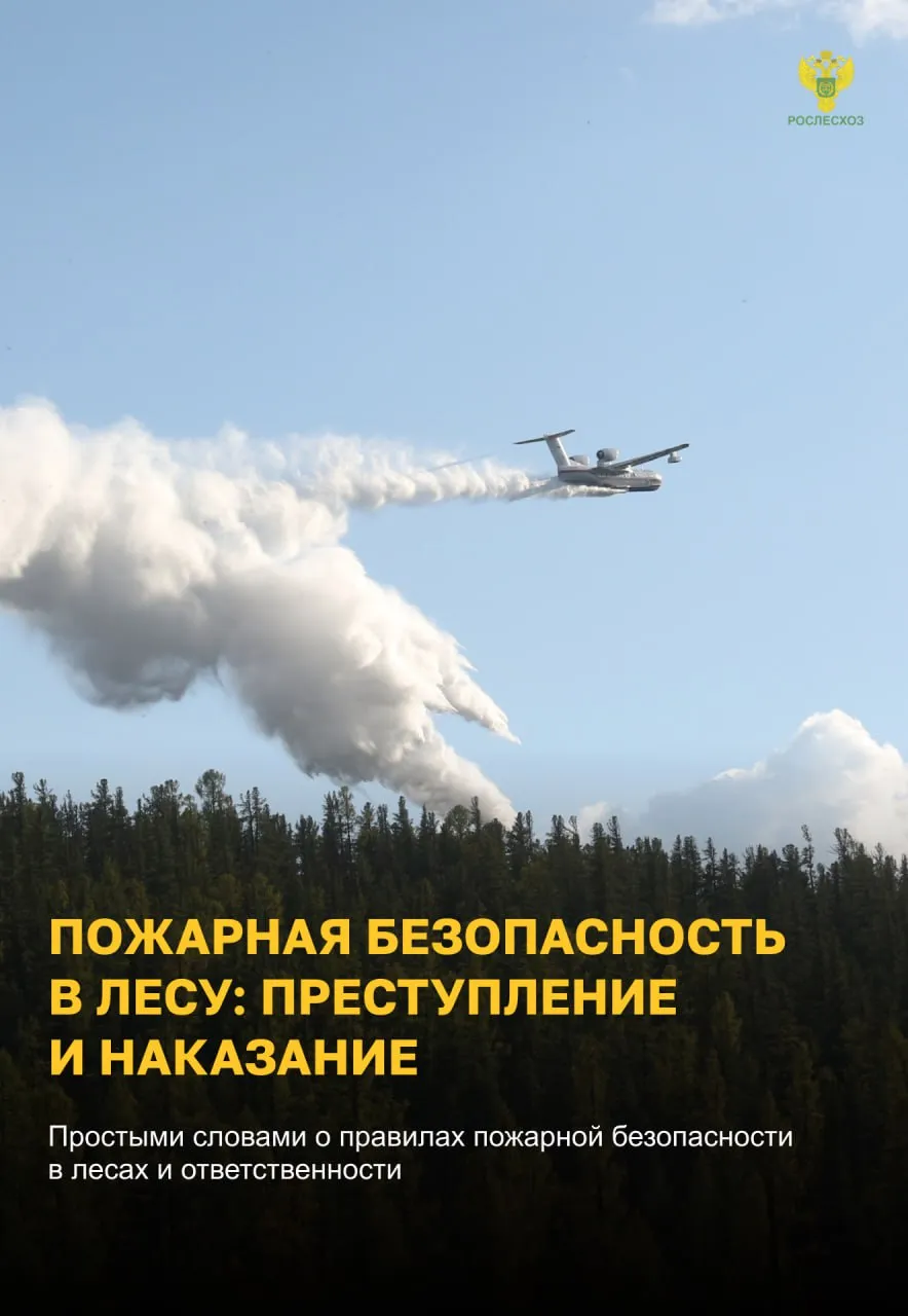 Останови огонь!