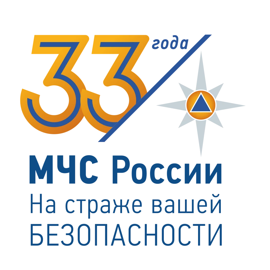 27 декабря исполнится 33 года МЧС России