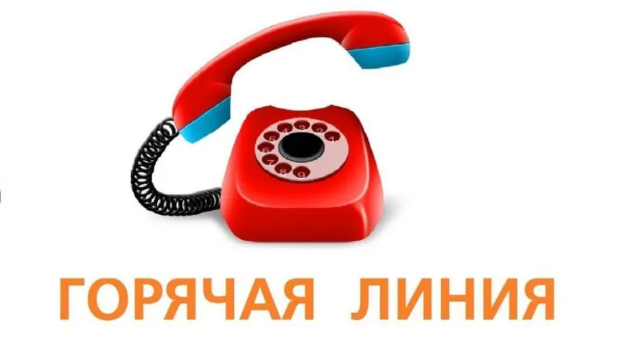 Горячая линия для родственников участников СВО